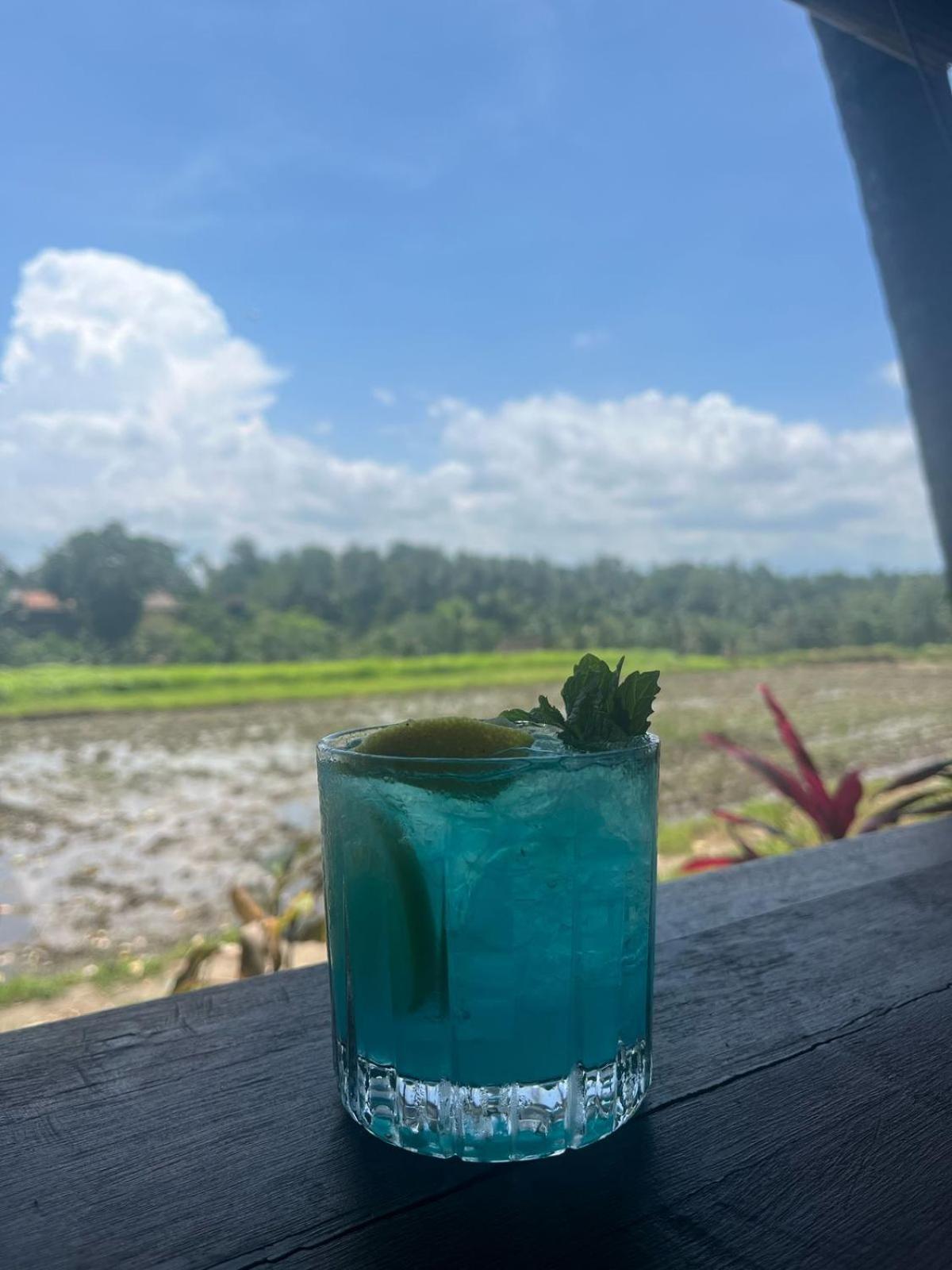 Teba Suci And Appartement Ubud